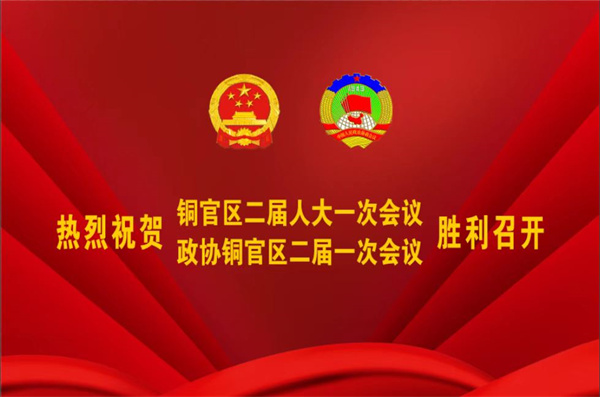 熱烈祝賀公司董事、副總經(jīng)理王從偉被選為 第二屆銅陵市銅官區(qū)政協(xié)常務(wù)委員